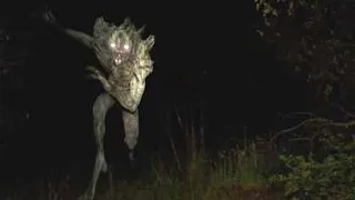 Top 5 Terrifying Cryptid Encounters That REALLY Happened