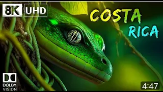 COSTA RICA  8K Video Ultra HD 60FPS Dolby Vision   Costa Rica 8K HDR   8K TV4K 60FPS