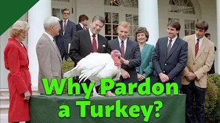 A Brief History of the Thanksgiving Turkey Pardon