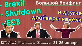 🌅 БОЛЬШОЙ брифинг | 21-25 января | 📈Прогноз рынка FOREX, FORTS, ФР