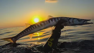 Spearfishing Just Moments After Sunrise