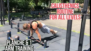 PUSH & PULL CALISTHENIC ROUTINE | TRAINING FOR PLANCHE AND 1ARM PULL UP | HIGH VOLUME WORKOUT