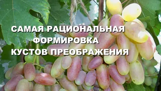 САМАЯ РАЦИОНАЛЬНАЯ ФОРМИРОВКА КУСТОВ ПРЕОБРАЖЕНИЯ