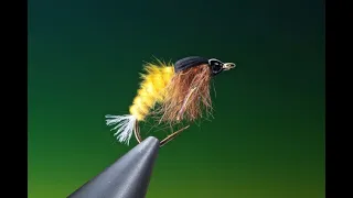 Fly tying a Caddis/sedge Pupa with Barry Ord Clarke