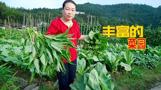 每天都有現摘蔬菜，農村生活讓人愜意，雖然忙碌但很幸福 | Rural life is pleasant, busy but very happy