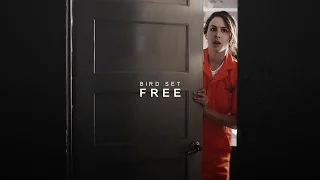 spencer hastings | bird set free [season five]