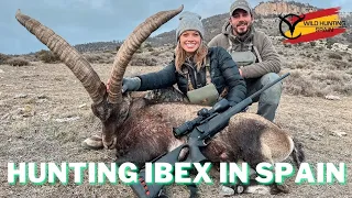 Hunting Beceite Ibex in Spain with Wild Hunting Spain