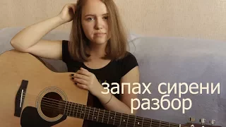 ПОШЛАЯ МОЛЛИ - Lin Ansty/запах сирени (разбор)