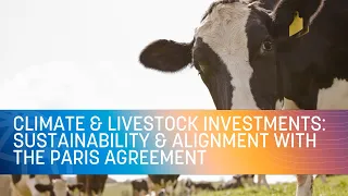 COP27 | Climate and Livestock Investments: Enhance Sustainability and Align with the Paris Agreement