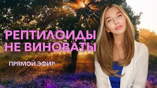 Рептилоиды не виноваты. Грани Замысла. Прямой эфир (03.09.2022)