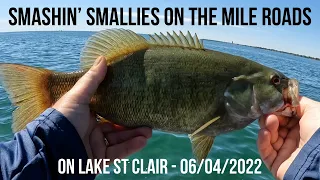 Lake St Clair Smallmouth Bass Fishing | How To Catch Smallmouth Post Spawn On Mile Roads 2022