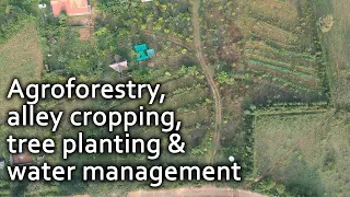 Permaculture Tools for Soil Repair | Agroforestry, alley cropping, tree planting & water management