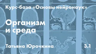 Организм и среда // Татьяна Юрочкина