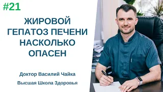 #21 Жировой гепатоз печени насколько опасен? Спросите у доктора Василия Чайки, Высшая школа Здоровья