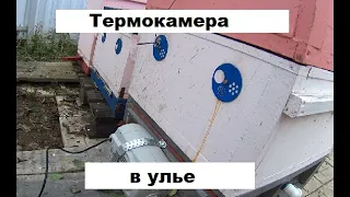 Убить клеща без химии. Термокамера в улье.