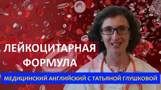 Анализы крови. Часть 1 Медицинский английский с Татьяной Глушковой