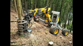 🌲4K| Menzi Muck M545 & Ponsse Scorpion King • Big Slope • Steilhang • Schreitbagger in Action 🌲