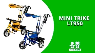 Велосипед 3-х колесный Mini Trike LT950