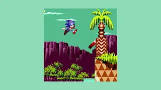 (1 Hour) Palmtree Panic - Past | Slowed + Reverb [Sonic CD]