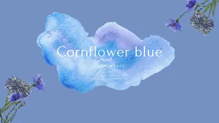 [Thaisub] Cornflower blue - Flower Face แปลเพลง