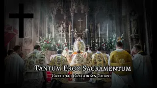 Tantum Ergo Sacramentum (Gregorian Chant)