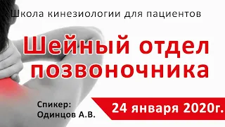 #5 Школа кинезиологии 24 января 2020г. Шейный отдел позвоночника.