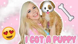 I GOT A PUPPY!! Bringing Home My Toy Maltipoo + First Days Home