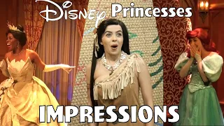 Disney Parks Impressions Princess Compilation