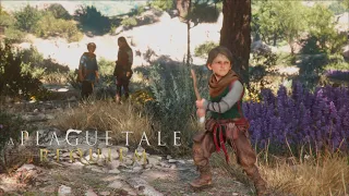 플래그 테일 : 레퀴엠 (A Plague Tale: Requiem, 4k) 1장 - 새 태양 아래