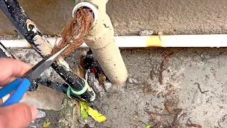 Root Removal - On a 40mm Waste Pipe