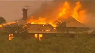 Австралія: сезонні пожежі завдають збитків фермерам