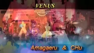 VENUS/ BANANARAMA BY　Amagaeru＆ CHu