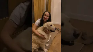 Ага,ага,ага собачка моя 🐕