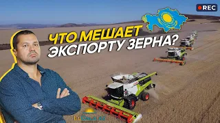 Экспорт зерна из Казахстана: коррупция, саботаж и борьба за власть