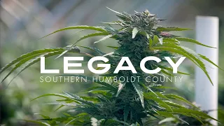 Legacy | Cannabis In The Emerald Triangle: A Legacy Of Community And Quality