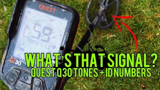 What's that signal?  Real-time look at the Quest Q30 tones and ID numbers #MetalDetecting UK #220