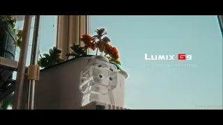 Sunset city | Panasonic Lumix G9 | Panasonic 14-140mm | Dehancer Pro