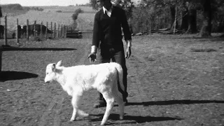 Nebraska Farm 1930's