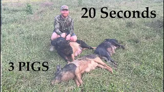 AR12 Hunting - 3 Wild Hogs in 20 seconds!!!