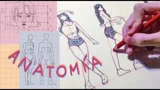 cómo dibujar anatomía / maneras de practicar / alma luna