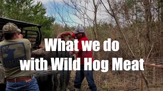 What we do with Wild Hog Meat