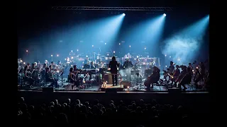 Sigur Rós Live with the London Contemporary Orchestra - Royal Festival Hall 16/6/2023