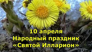 Народный праздник «Святой Илларион». Приметы на 10 апреля.  Что нельзя делать и что можно.