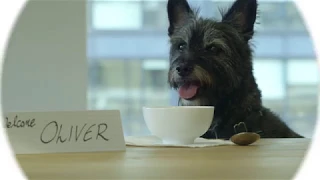 #LifeatEquinix: Oliver takes you on a  full tour of our London office
