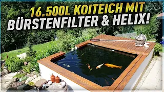 Ein kompakter KOI-HOCHTEICH mit BÜRSTENFILTER!