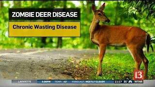 Zombie Deer Disease