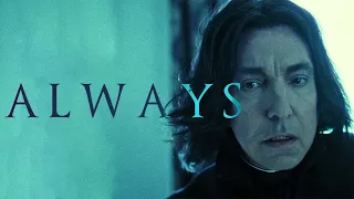 Severus Snape | Always