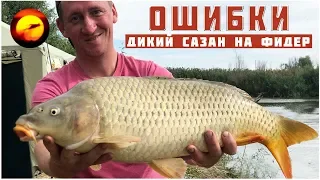 Ошибки ловли сазана и карася / Сазан на донку на кукурузу / Рыбалка на сазана в Астрахани осенью