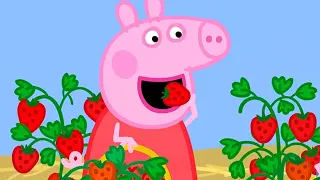 Peppa Pig Full Episodes | Season 8 | Compilation 47 | Kids Video