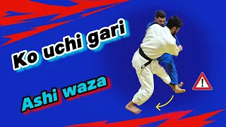 Ko - uchi -  gari . Variations and Combinations